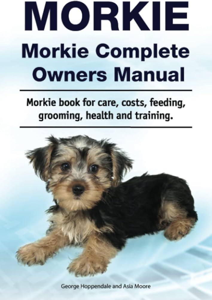 Morkie