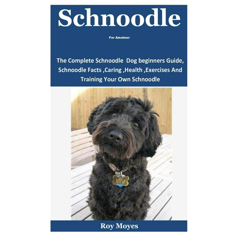 Schnoodle Dog